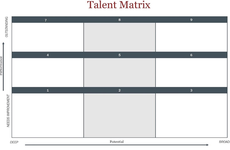 9-Box talent matrix succession planning